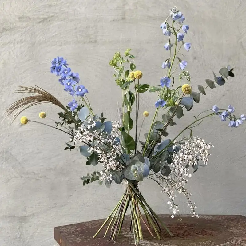 スパイラルIPKibanaステムホルダー、頑丈、クリア、花の - Ikebana Vase Kenzan のレビューと価格