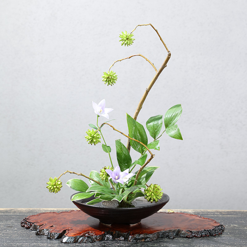 日本のモロッコのカエルの花瓶セラミック製のブーケの花の配置ボ - Ikebana Vase Kenzan のレビューと価格